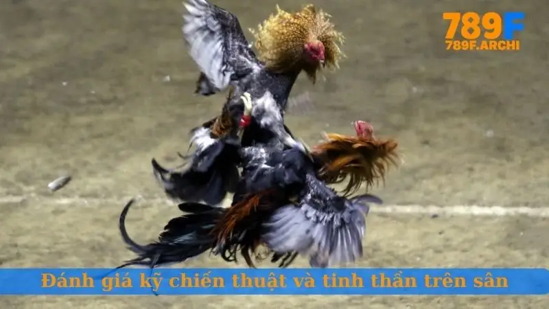 Đánh giá kỹ chiến thuật và tinh thần trên sân